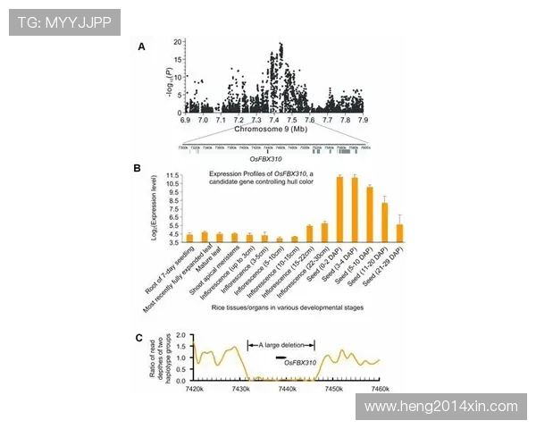 艾德森如何推动科技创新与人类未来发展的深远影响解析